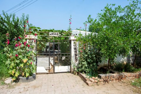 思家朝阳市民宿(中山大街分店)