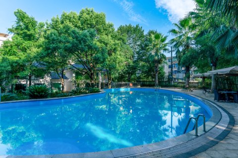 东江湖半岛假日酒店