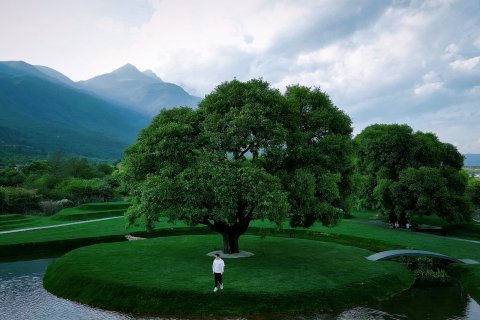 丽江地中海·棠岸度假酒店(地中海国际度假区店)