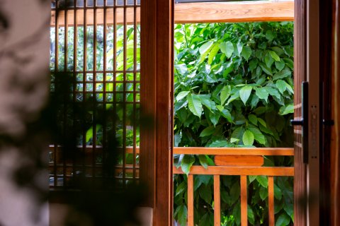 半院·繁花民宿