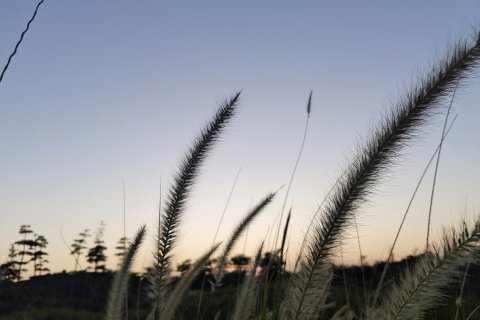 前海湾精品酒店(深圳前海自贸区店)