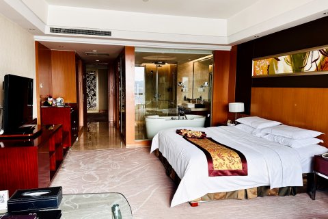 广元天成大酒店