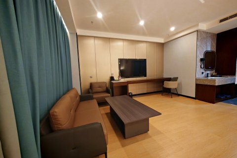 墨竹工卡泊客湾假日酒店