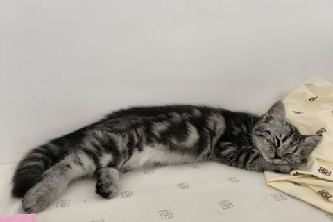 千屿绿岛青年旅舍(大同火车站店)