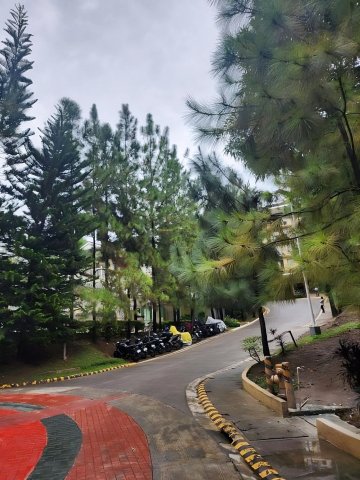 1 Br Cozy Northpoint Condo(1 Br Cozy Northpoint Condo)