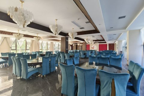 林海民宿(劳山国家森林公园店)