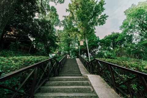 黄山华山宾馆(屯溪老街黎阳老街店)