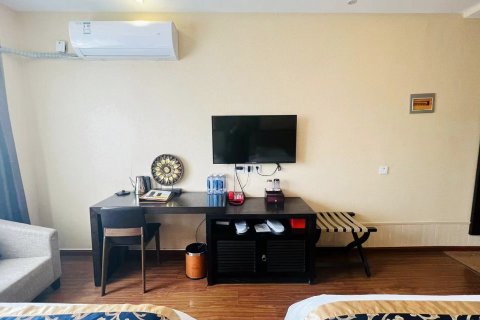 林芝天宇藏秘主题酒店