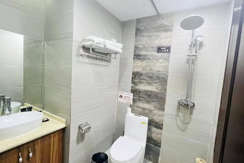 林芝天宇藏秘主题酒店