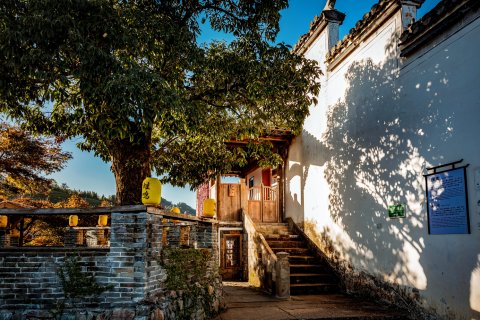 婺源厚塘庄园