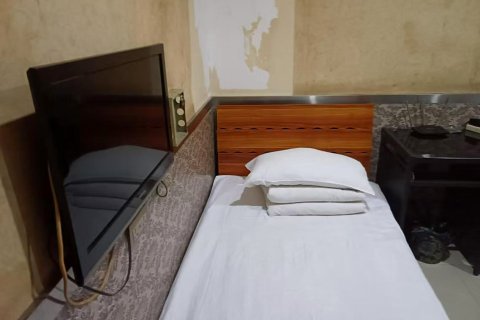 延寿红桃八旅馆