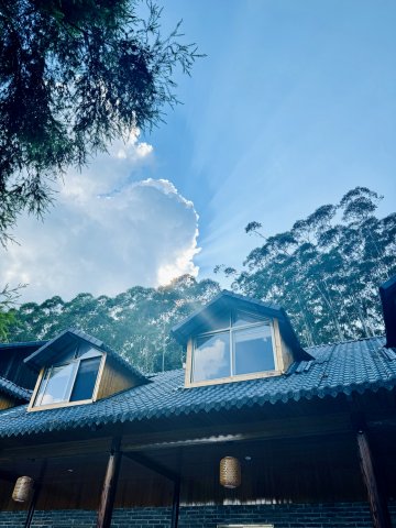 灵树别院