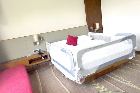 荔波小七孔睿景酒店