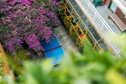 i野·大脚氏国际青年旅舍(金马碧鸡坊南屏步行街店)