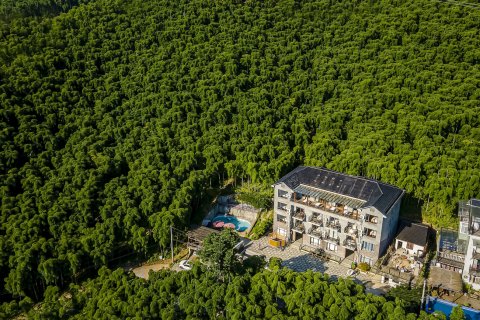 莫干山闲步庭下·半山腰度假民宿