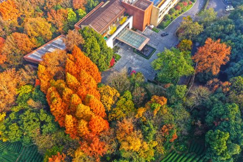 杭州千禧度假酒店