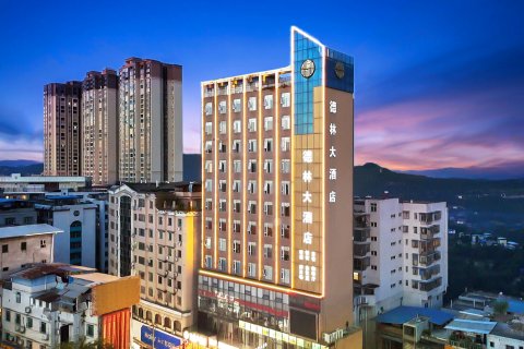 德林大酒店(仪陇金城店)