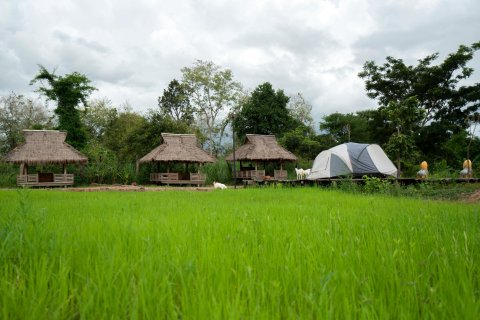 崩密列山林小屋(Beng Mealea Lodge)