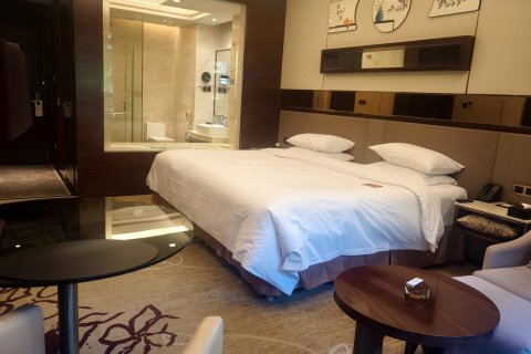 招远招金舜和国际饭店