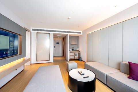 麗枫酒店(阿克苏机场新疆理工学院店)