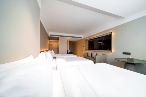 松阳天元国际酒店