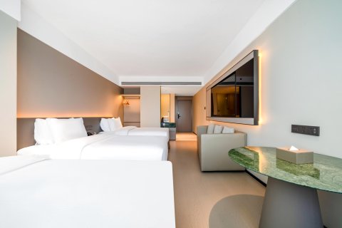 松阳天元国际酒店