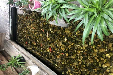 较场尾壹品寒舍民宿