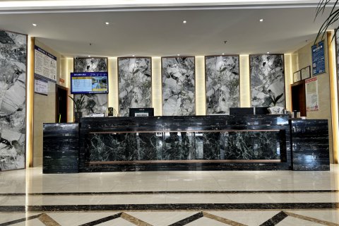 龙腾大酒店(团风县政府店)