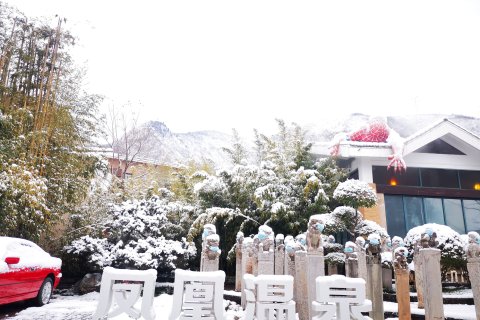 眉县太白山凤凰温泉酒店