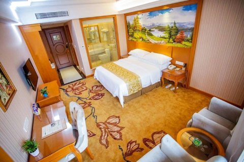 维也纳国际酒店(杭州宋城转塘美院店)