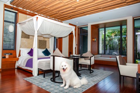 深圳蓝楹湾度假酒店