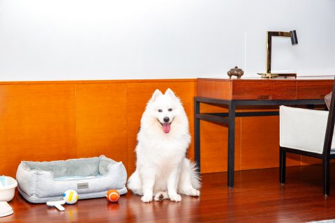 深圳蓝楹湾度假酒店