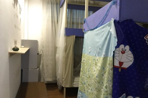 建水草芽国际青年旅舍