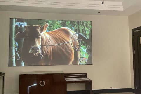 新汇银时尚酒店(新兴庙街步行街中药学校店)