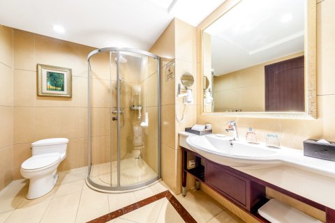 池州碧桂园凤悦凤凰酒店(九华山)