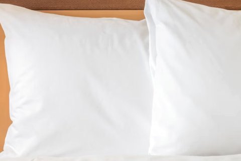 德清皇冠假日酒店(北湖东街店)