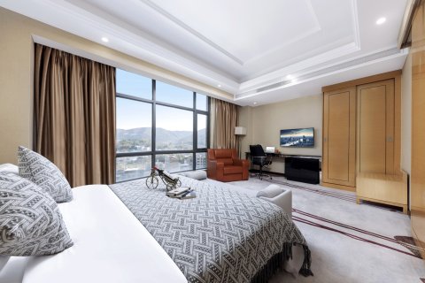 御丰国际酒店(河源紫金县店)