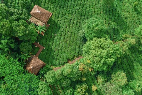 澜沧景迈柏联酒店