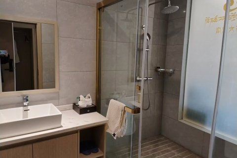 理塘松赞干布大酒店