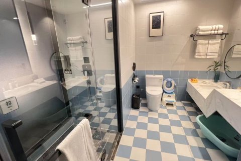 淮安洪泽湖国际大酒店