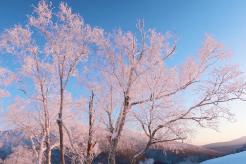 雪谷小东驴友驿站(中国雪谷风景区店)