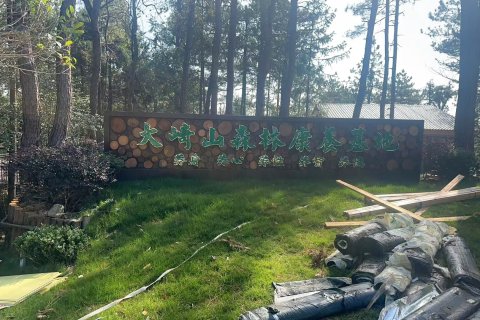 大崎山森林康养基地