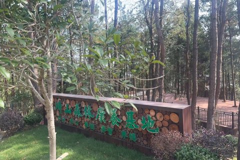 大崎山森林康养基地