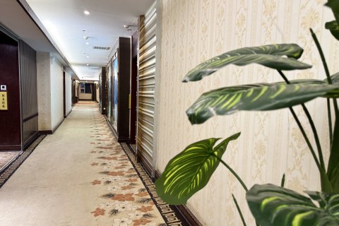 金鼎·丽都酒店(八景星光天地店)