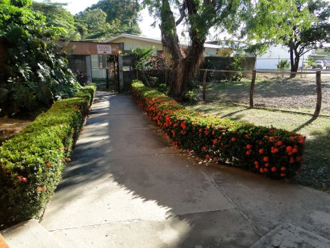 瓜纳卡斯特酒店(Hotel Guanacaste)
