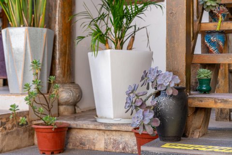 云谷·精品客栈(丽江古城店)