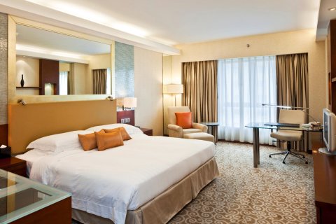 国际艺苑大酒店