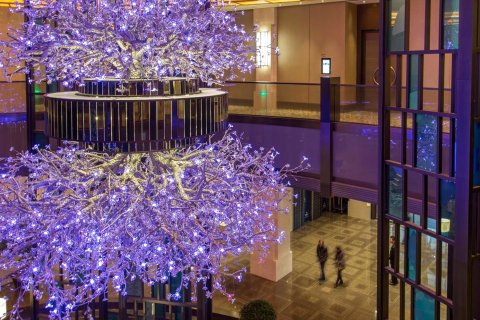 常州新城希尔顿酒店