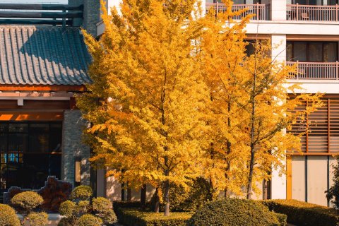 西安临潼悦椿温泉酒店