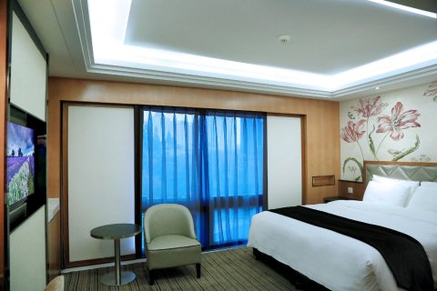 南京中心大酒店